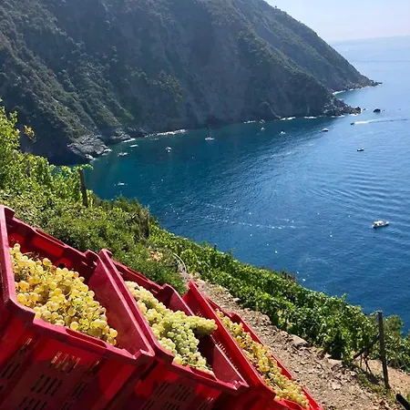 Casa Natalina Monterosso al Mare