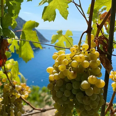 Casa Natalina Apartment *