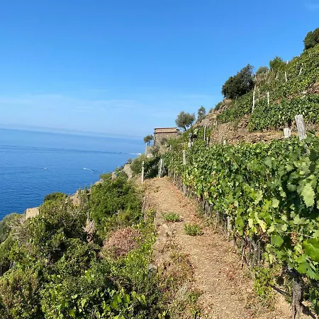 Casa Natalina Apartment Monterosso al Mare