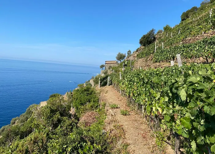 Casa Natalina Lejlighed Monterosso al Mare