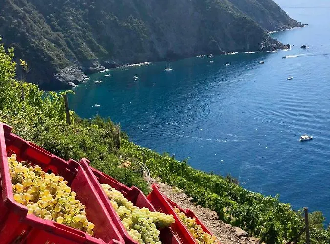 Casa Natalina Monterosso al Mare